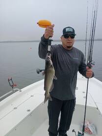 San Antonio Report Photo 2