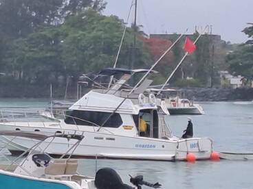 Fishing with Peter the Marlin magic.