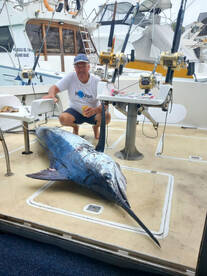 Grand Baie Report Photo 1