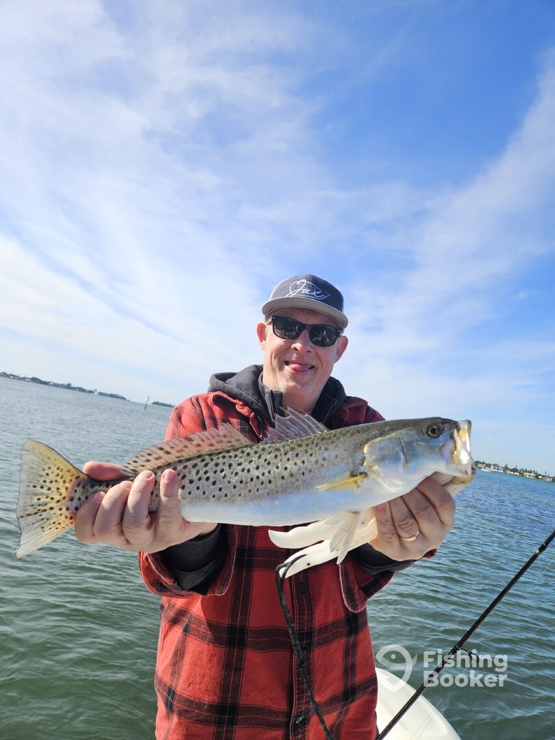Sarasota Report Photo 0