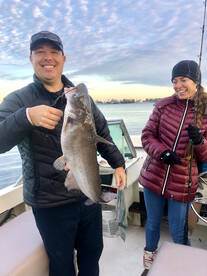 Moncks Corner Report Photo 2