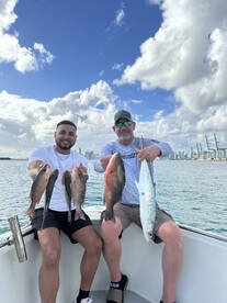Hot mangrove snapper bite