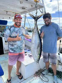 Yellow fin Tuna in Xmas 