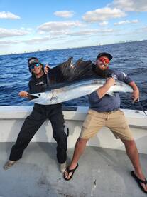 Dania Beach Report Photo 1