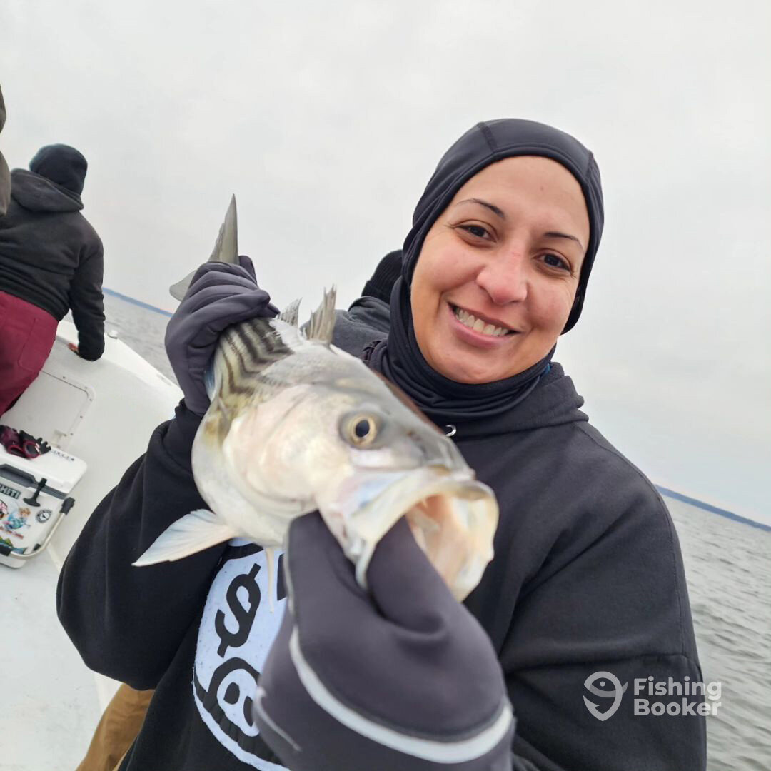 Pasadena Report Photo 0