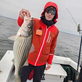 Pasadena Report Photo 1