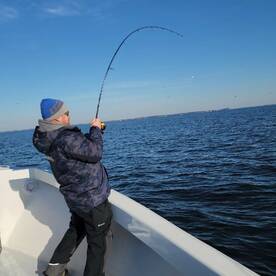 Pasadena Report Photo 2