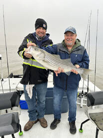 Kingston Report Photo 2