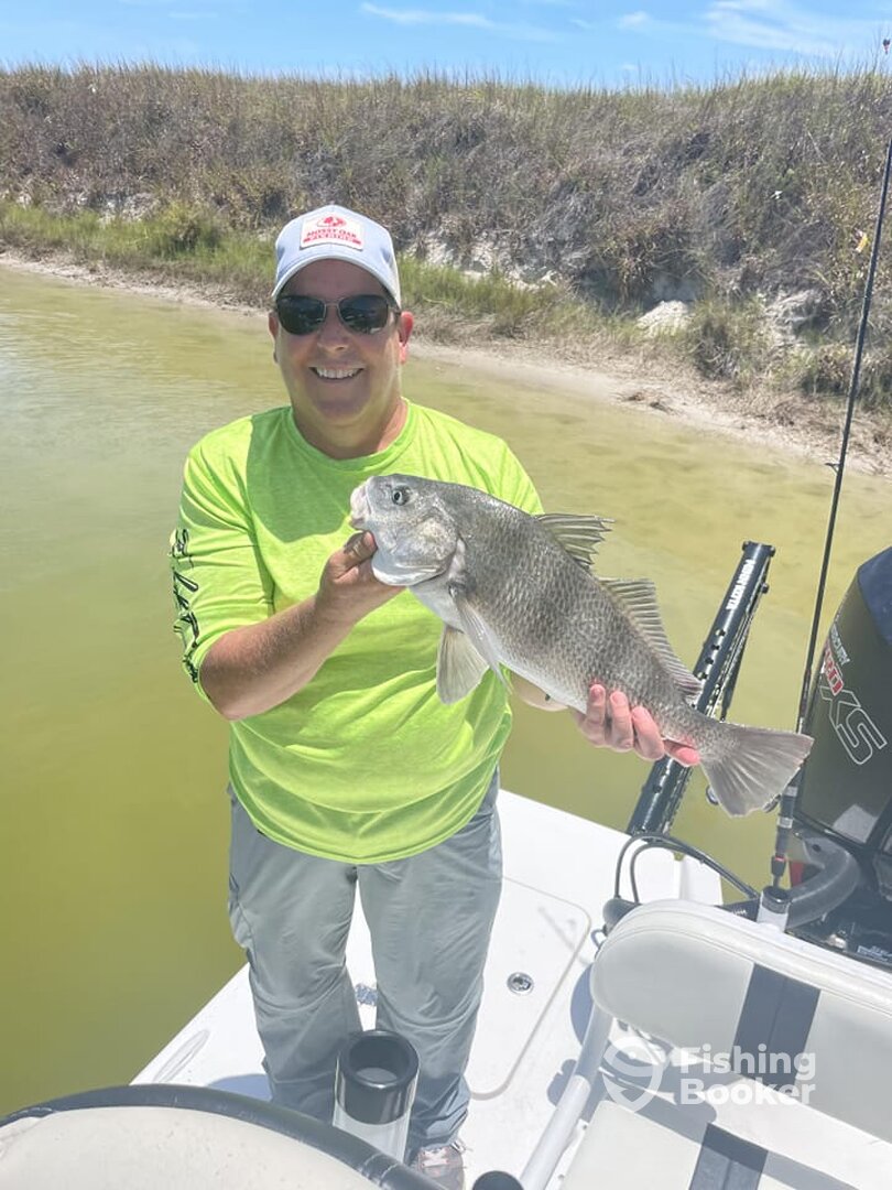 Black Drum for the win!