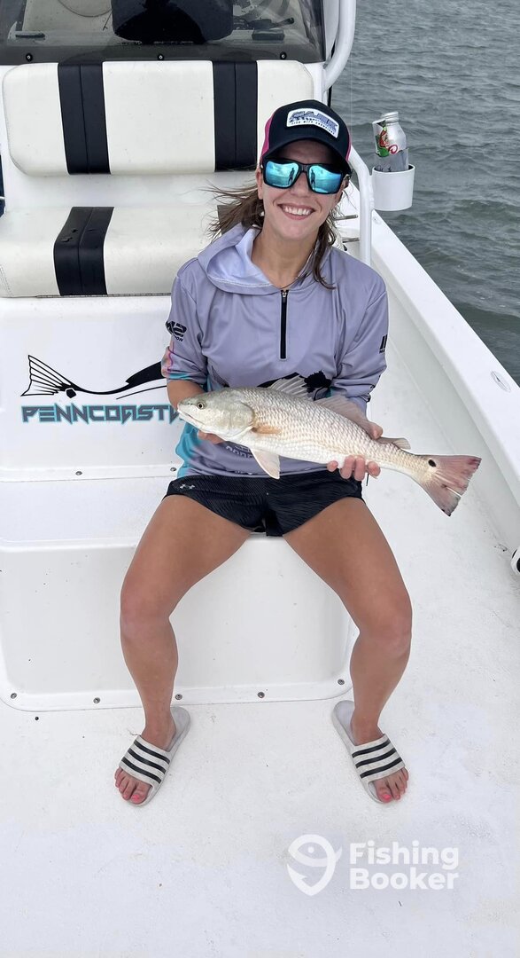 Redfish everywhere