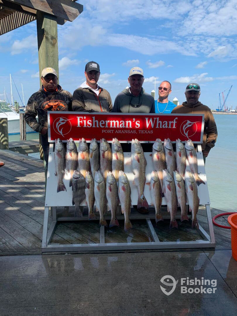 Bunch of Fish