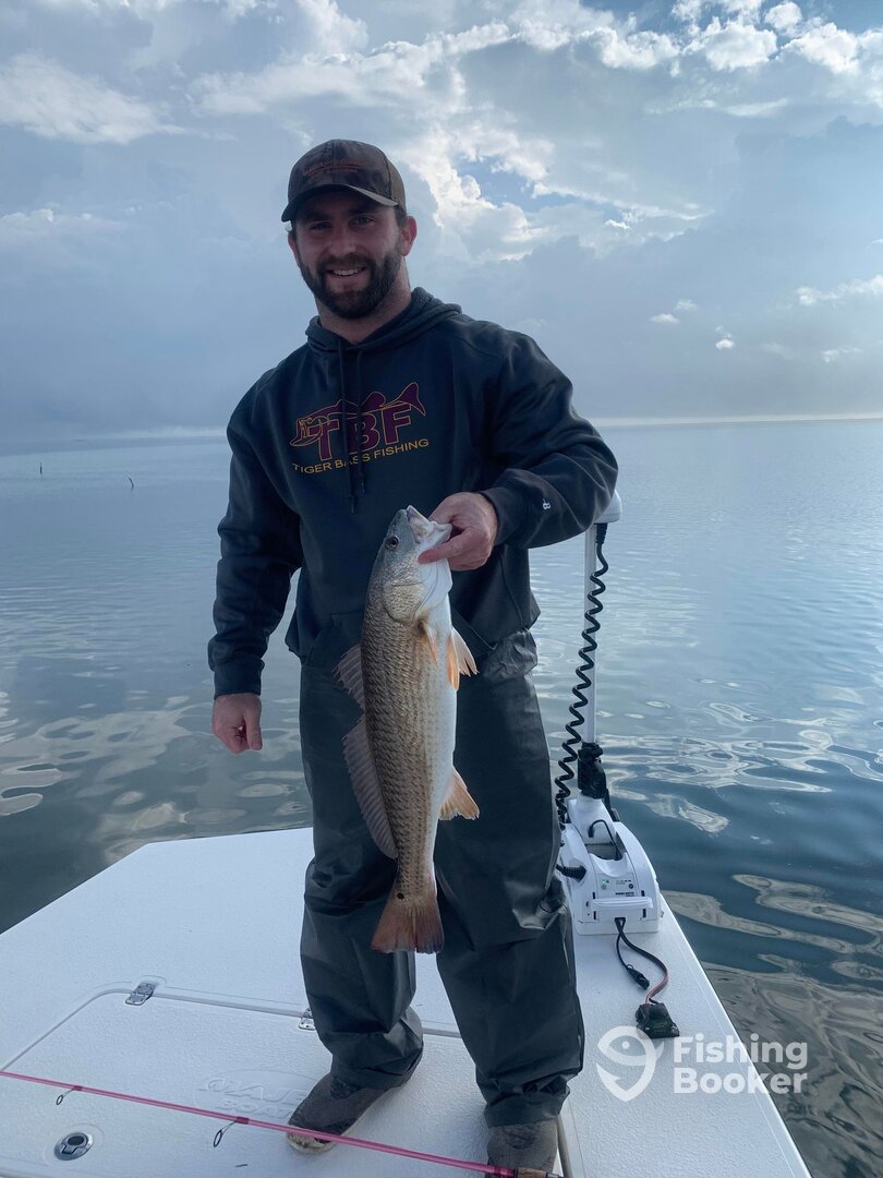 Christmas Eve Red
