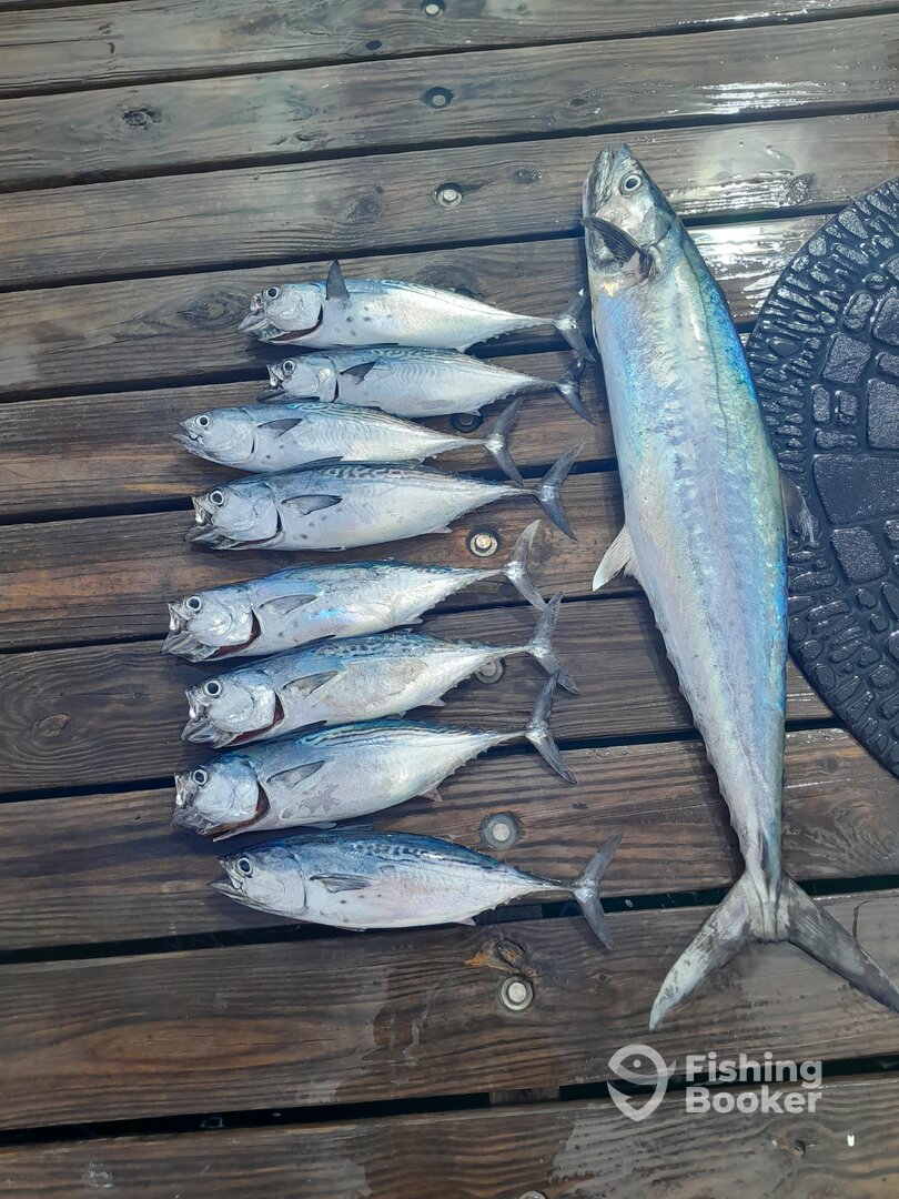 Oranjestad Report Photo 0