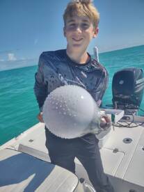 Yankeetown Report Photo 2