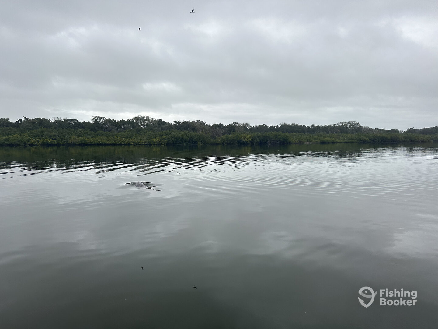 Edgewater Report Photo 0