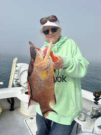 Hogfish mania continues!