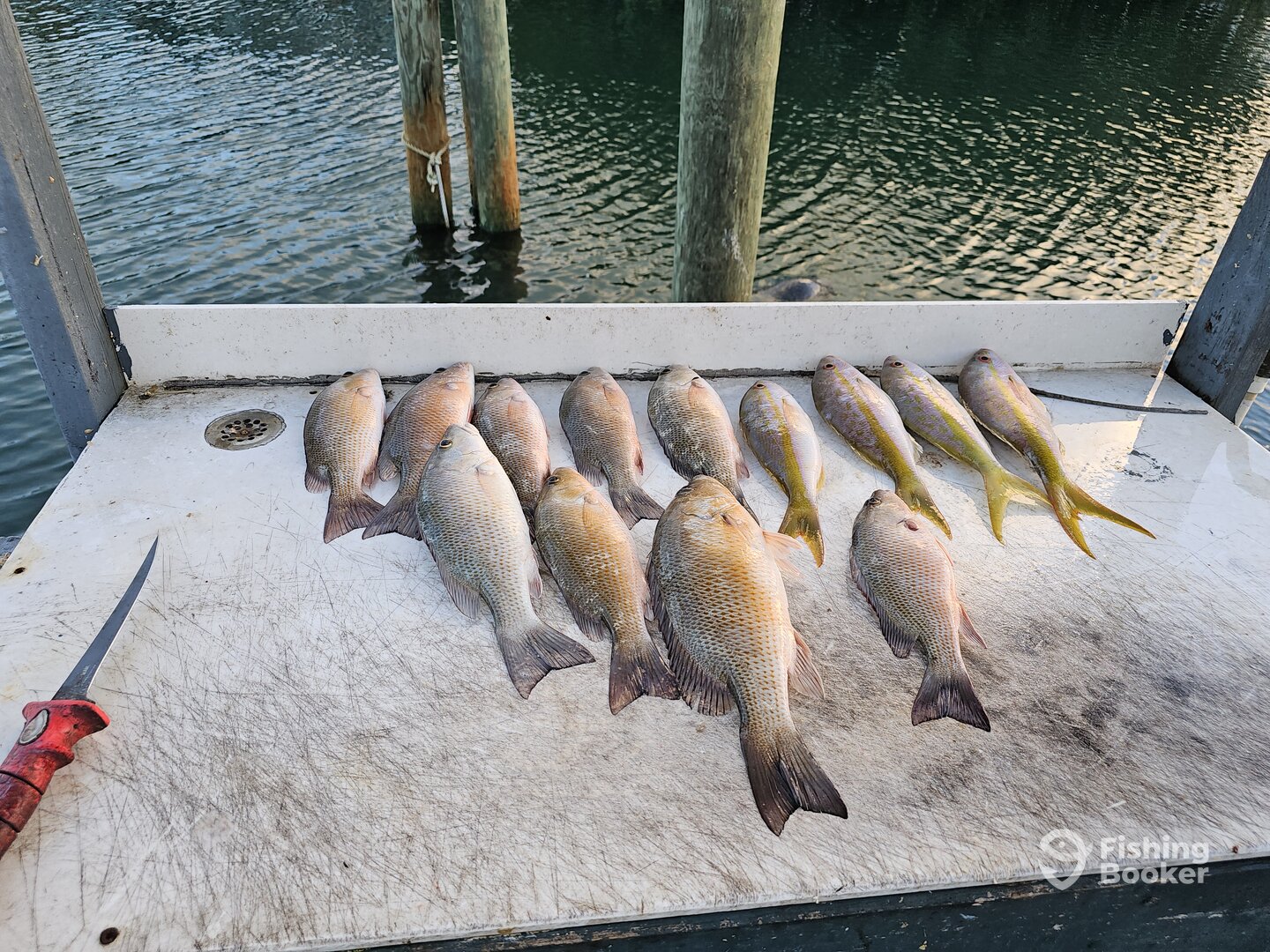 Tavernier Report Photo 0