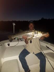 Tampa Bay Inshore Report