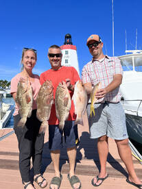 Great grouper bite last couple days 