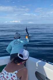 Quepos Report Photo 2