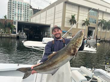 Cobia, mutton snapper, and African pompa