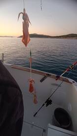 Zadar Report Photo 1