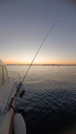 Zadar Report Photo 2