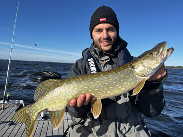 Almere Report Photo 1