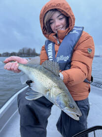 Amsterdam Report Photo 2