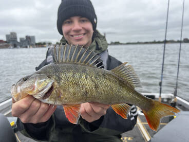 Amsterdam Report Photo 1