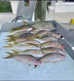 Islamorada Report Photo 2