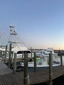 Orange Beach Report Photo 1