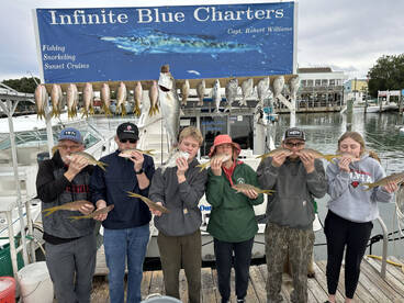 Yellowtail, Amberjack, Grouper and giant