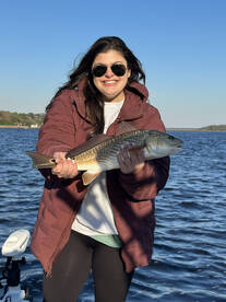 Ringing in the New Year with Schooled up