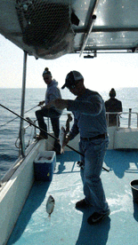 Vrsar Report Photo 2