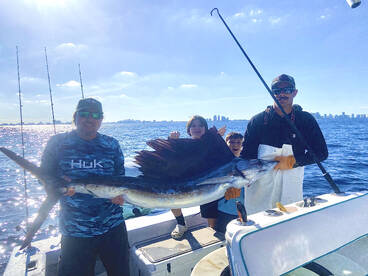 Afternoon sailfish action!