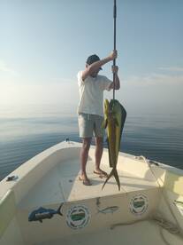 Fujairah Report Photo 1