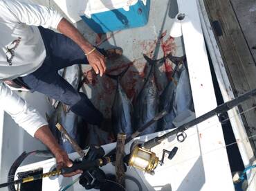 San Jose del Cabo Report Photo 2