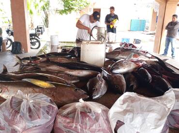 San Jose del Cabo Report Photo 1