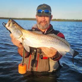 Jan. Shaping up to be great!