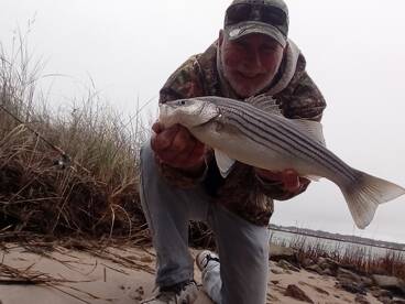 Chincoteague Report Photo 1