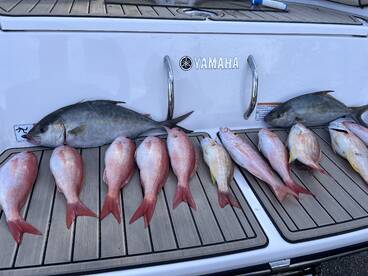 Pompano Beach Report Photo 1