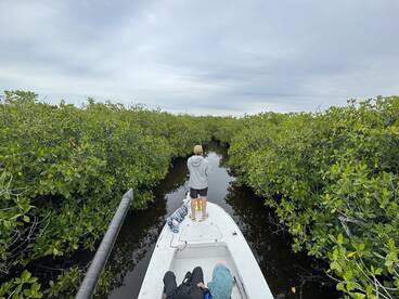 Deep in the creeks when the weather isnt