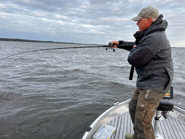 Almere Report Photo 2