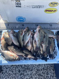 Tight lines with fish on deck