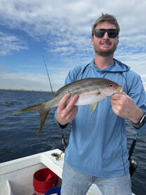 Dania Beach Report Photo 2