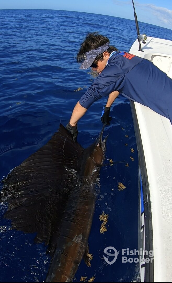 San Juan Report Photo 0