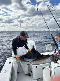 Father son Sailfish duo