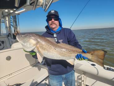 Galveston Report Photo 2