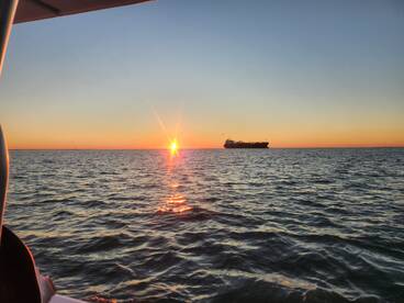 Galveston Report Photo 1